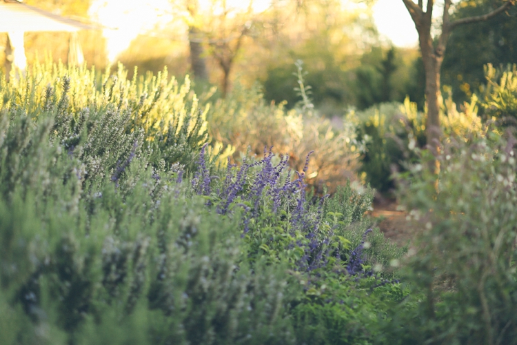 matt-jessica-engagement-arlington-gardens-engagement-pasadena-california_0041.jpg